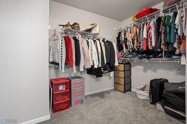752 Cathy Dr W, West Fargo, ND 58078 - walk in closet with carpet