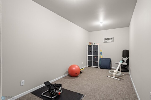 752 Cathy Dr W, West Fargo, ND 58078 - workout area featuring baseboards and carpet floors
