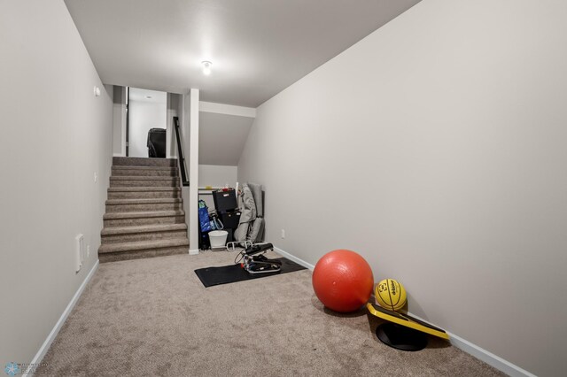 752 Cathy Dr W, West Fargo, ND 58078 - exercise room featuring carpet flooring and baseboards