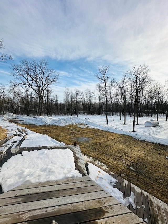 view of yard layered in snow