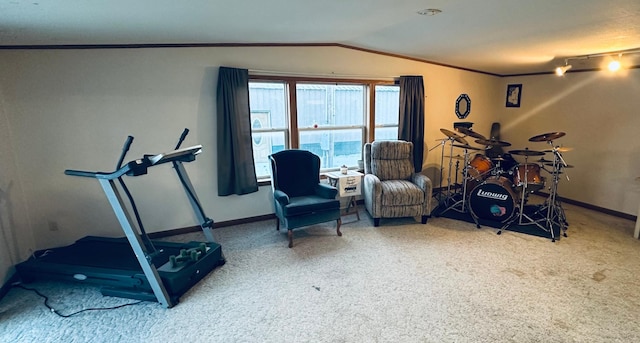 workout room with baseboards, vaulted ceiling, crown molding, and carpet flooring