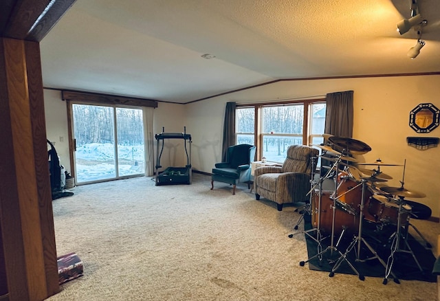 living area with crown molding, a textured ceiling, vaulted ceiling, and carpet flooring