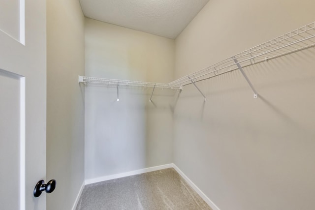 walk in closet featuring carpet flooring