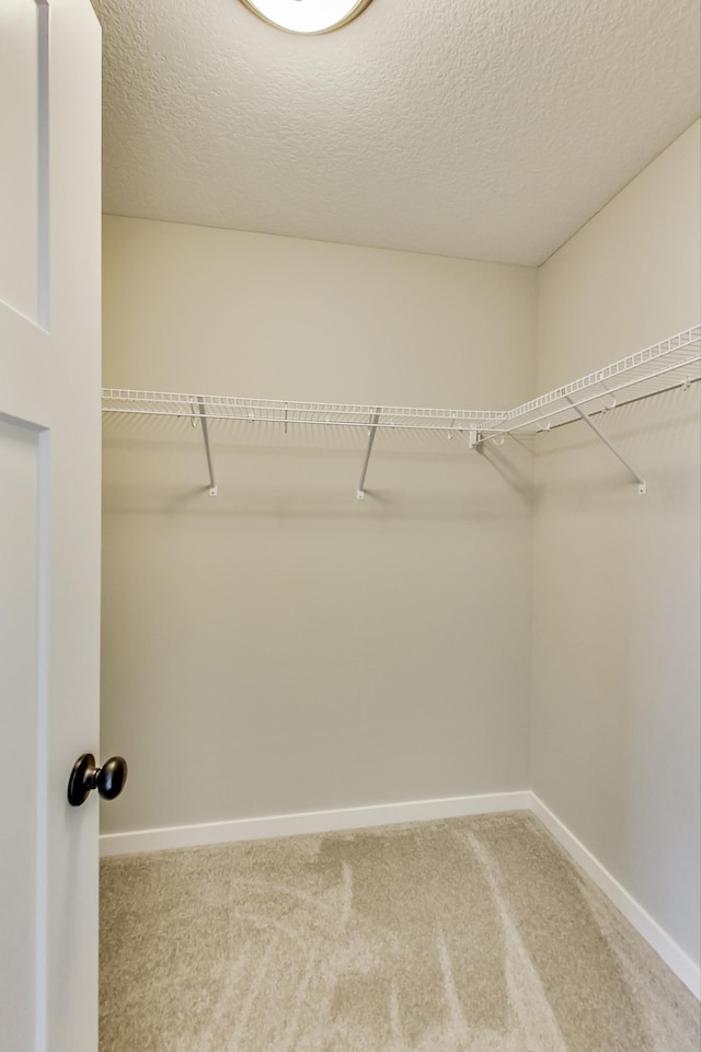 walk in closet with carpet