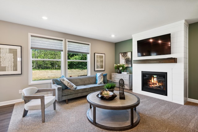 living area with a fireplace, baseboards, wood finished floors, and recessed lighting