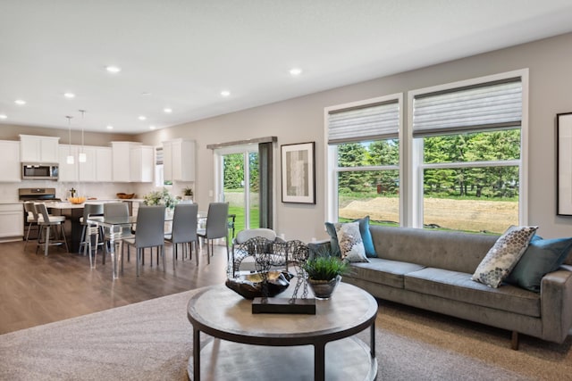 living area featuring dark wood-type flooring and recessed lighting