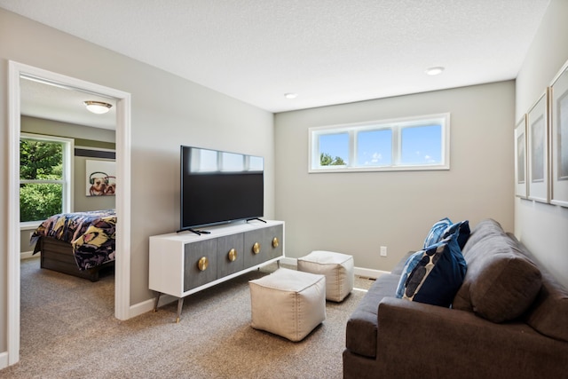 carpeted living room with a textured ceiling and baseboards