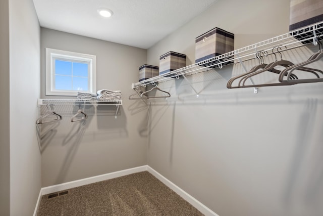 walk in closet featuring carpet and visible vents