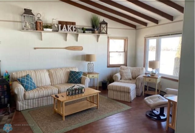 17140 Big Cormorant Rd, Lake Eunice Twp, MN 56511 - living room featuring wood finished floors