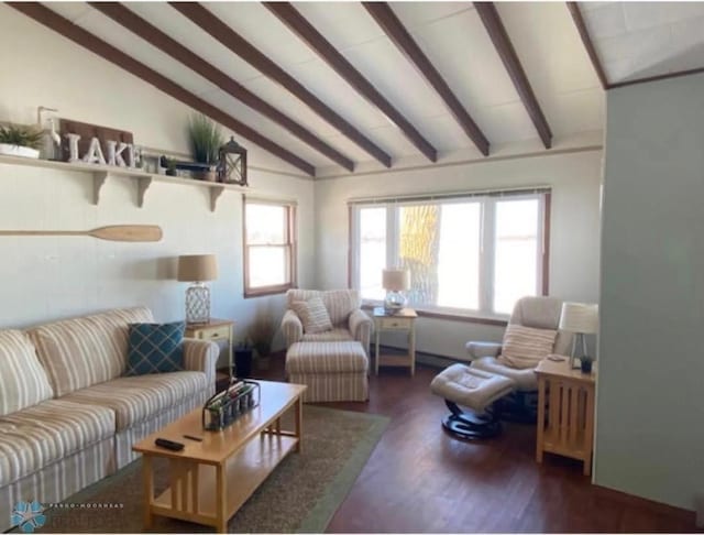 17140 Big Cormorant Rd, Lake Eunice Twp, MN 56511 - living room with wood finished floors