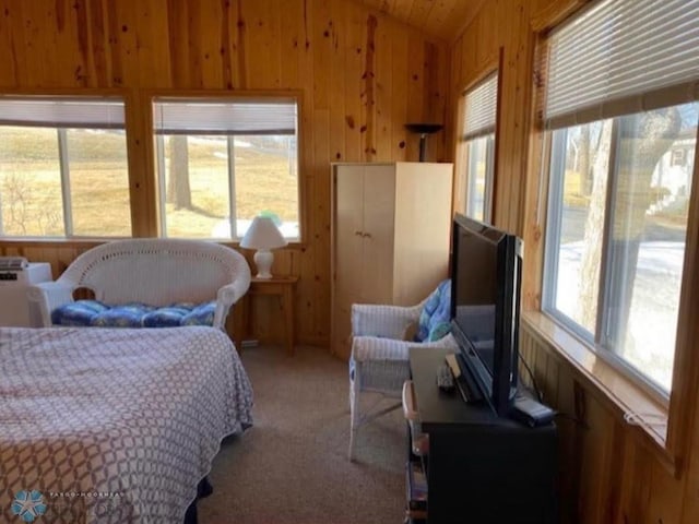 17140 Big Cormorant Rd, Lake Eunice Twp, MN 56511 - carpeted bedroom with vaulted ceiling and wooden walls