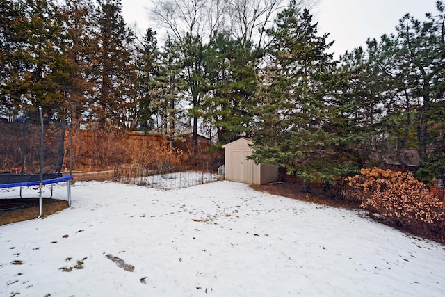 view of yard featuring an outbuilding, a shed, and a trampoline