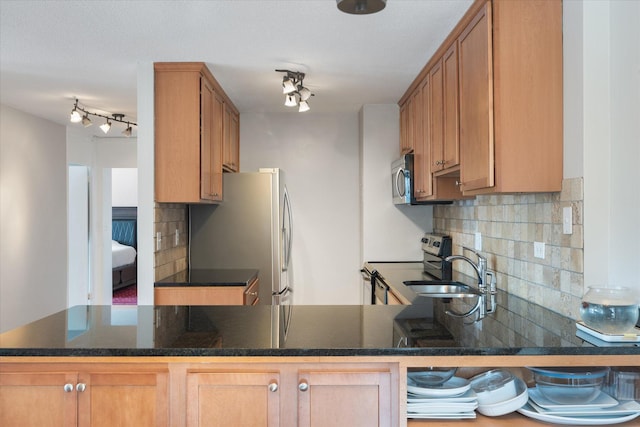 kitchen featuring a peninsula, appliances with stainless steel finishes, a sink, and tasteful backsplash