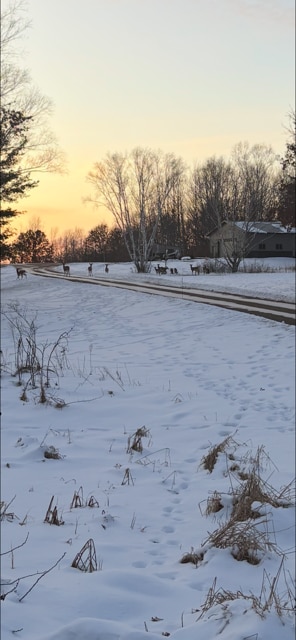 view of yard layered in snow