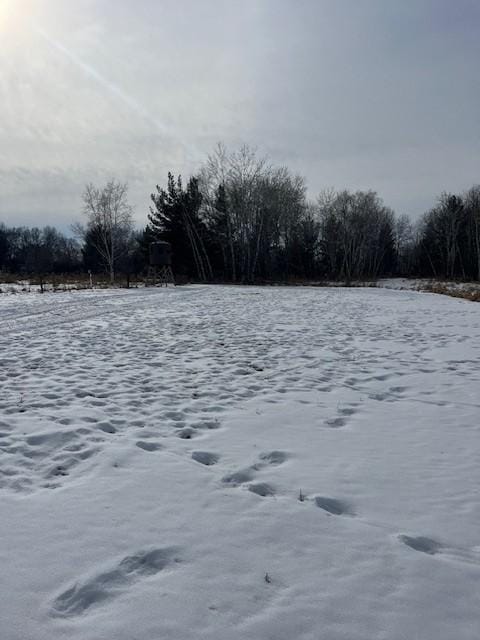 yard layered in snow featuring a water view