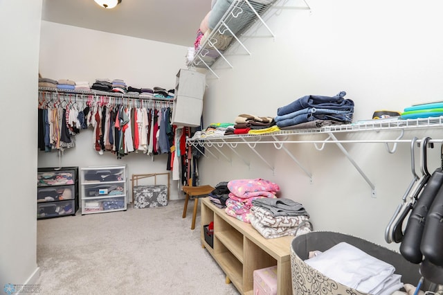 walk in closet featuring carpet floors