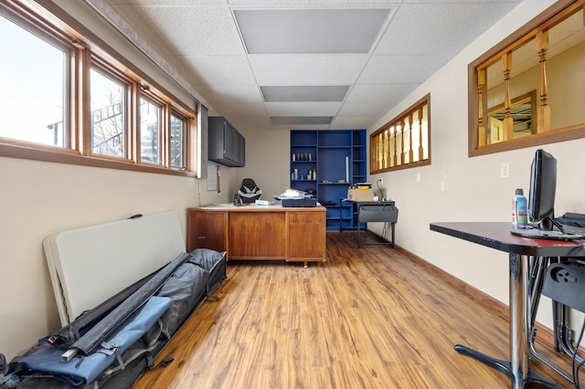 office area featuring a drop ceiling and light wood-style flooring