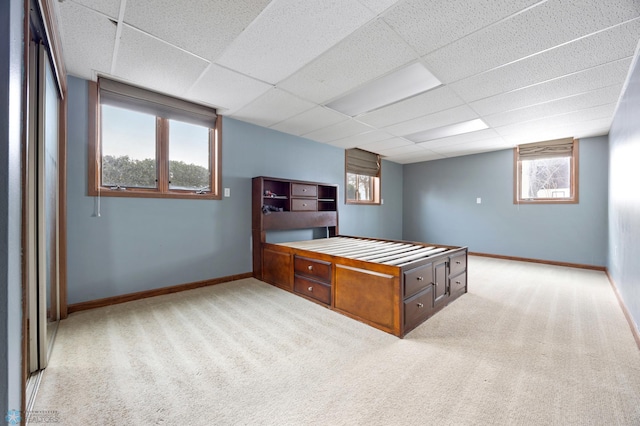 bedroom featuring multiple windows, a drop ceiling, carpet flooring, and baseboards