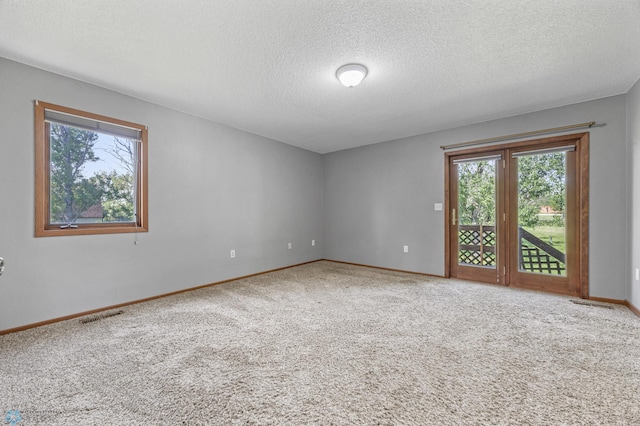 289 2nd St SW, Forman, ND 58032 - carpeted spare room with plenty of natural light, a textured ceiling, and baseboards