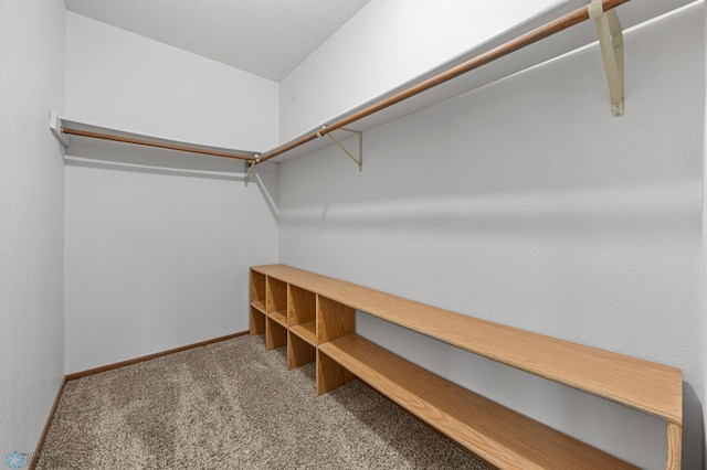 289 2nd St SW, Forman, ND 58032 - spacious closet featuring carpet flooring