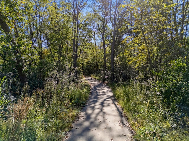 view of road with a view of trees