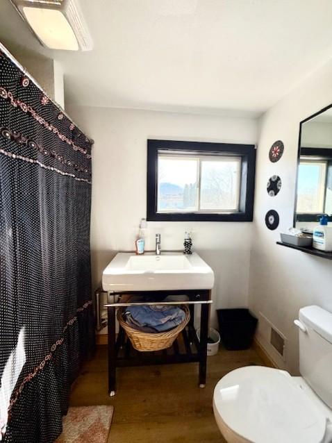 bathroom featuring a sink, wood finished floors, toilet, and a shower with curtain