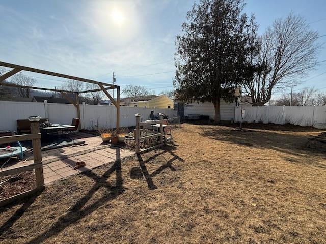 view of yard with a patio and a fenced backyard