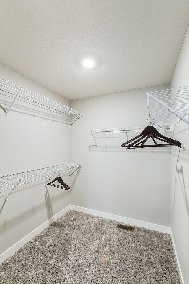 walk in closet featuring visible vents and carpet flooring