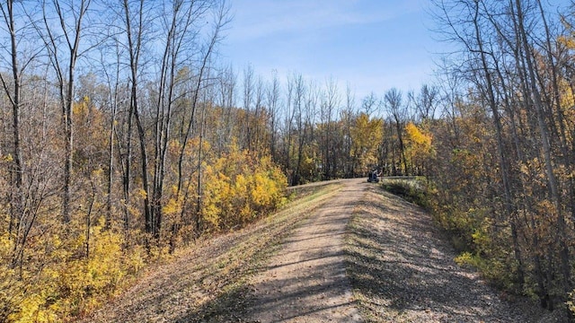 view of street with a forest view