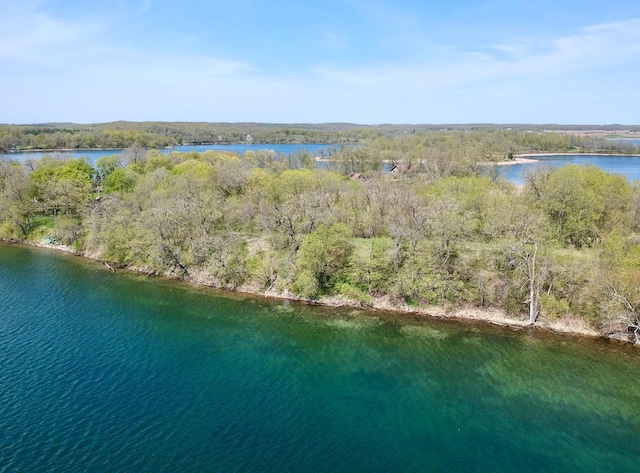 LOT38, B1 Wrigley Ln, Vergas MN, 56587 land for sale