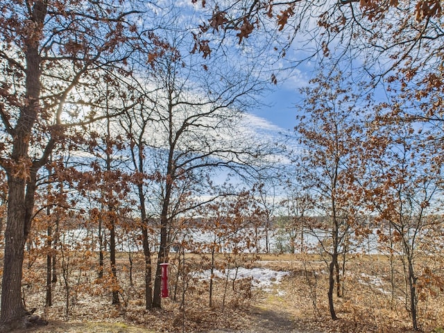 view of local wilderness