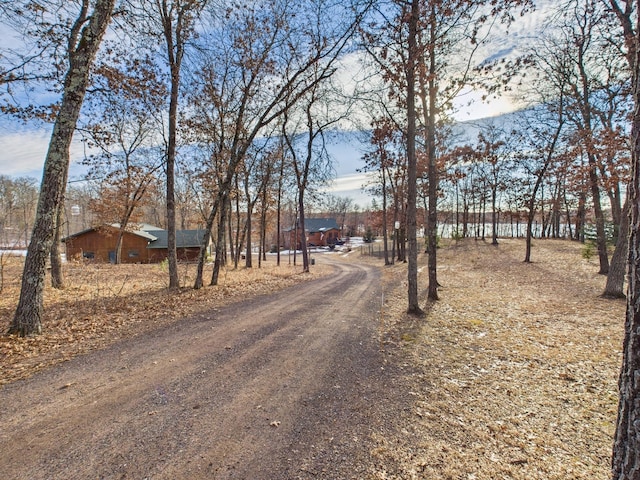 view of road with driveway