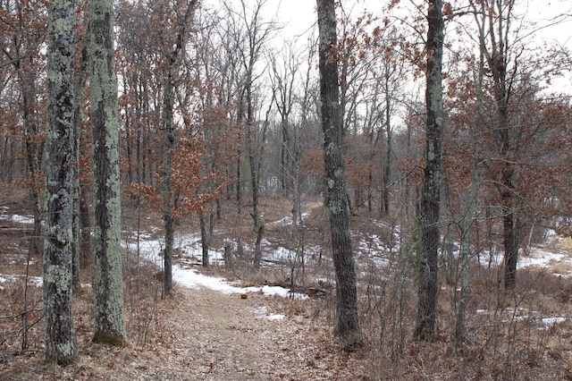 view of local wilderness featuring a forest view