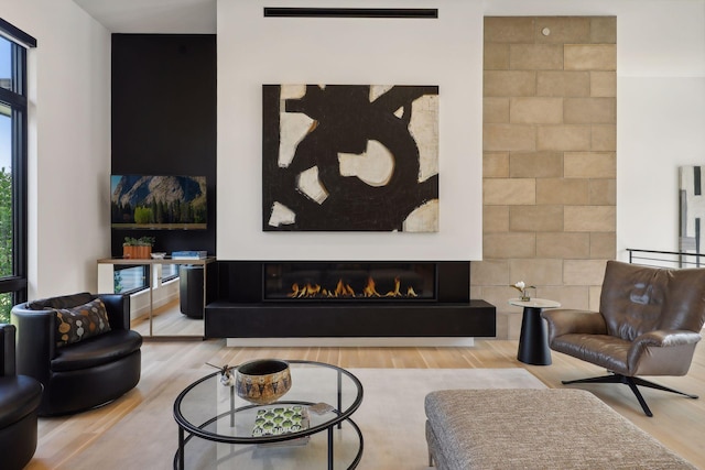 living area with a glass covered fireplace and wood finished floors