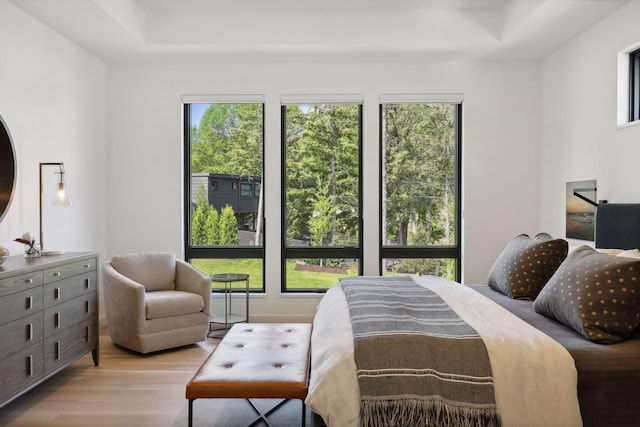 bedroom featuring a raised ceiling and wood finished floors