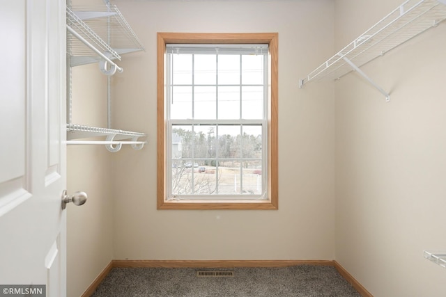 walk in closet with visible vents and carpet flooring