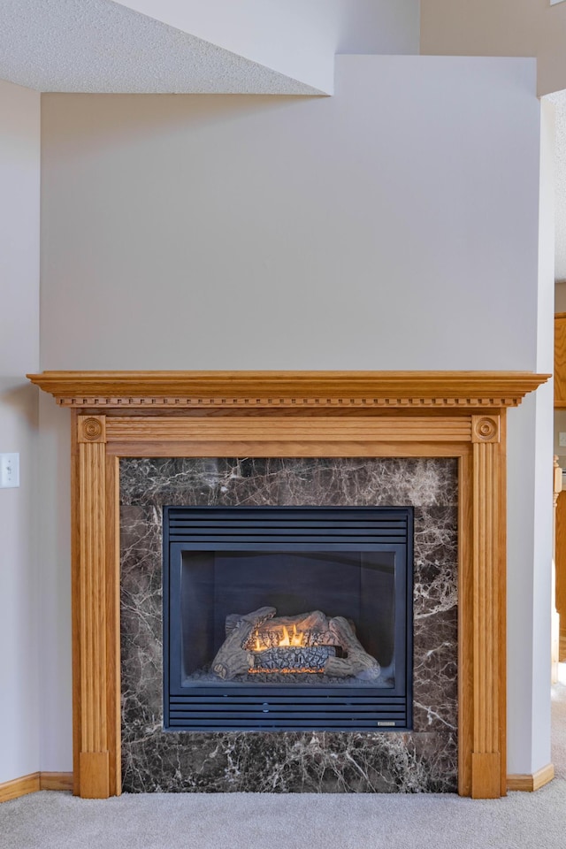 room details featuring carpet floors, baseboards, and a premium fireplace