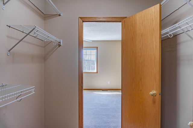 spacious closet with carpet