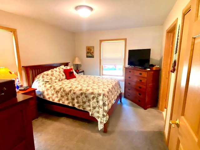 bedroom with carpet flooring