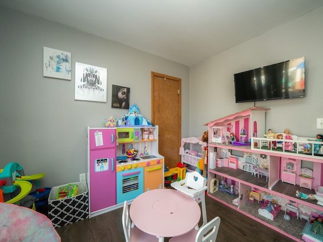 game room featuring wood finished floors