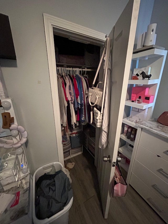 spacious closet featuring dark wood-style floors