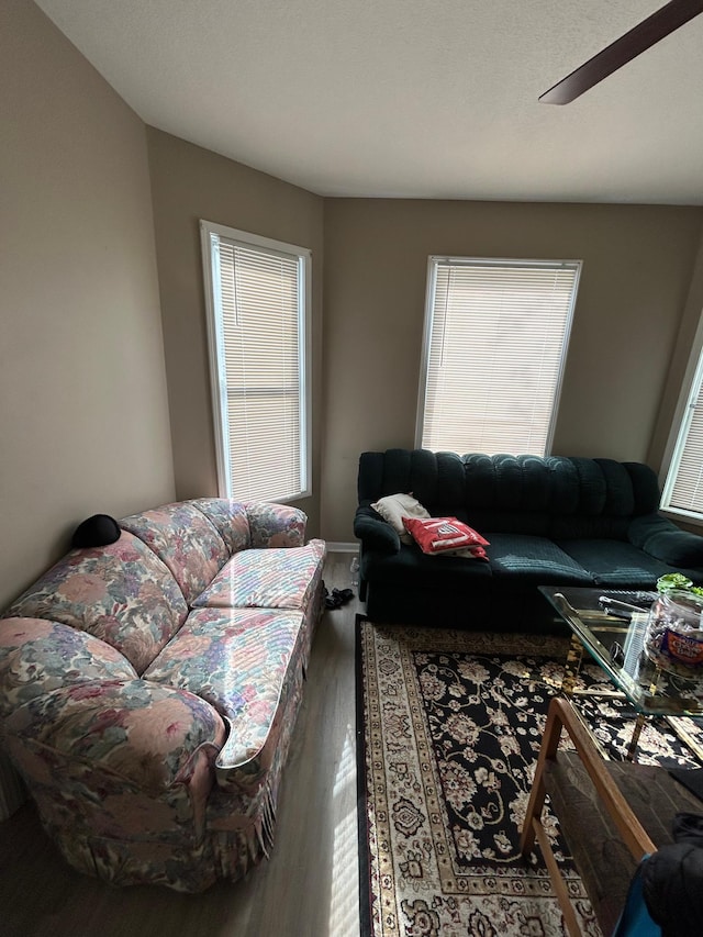 living room featuring a ceiling fan and wood finished floors