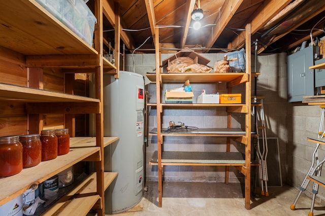 storage featuring electric panel and electric water heater