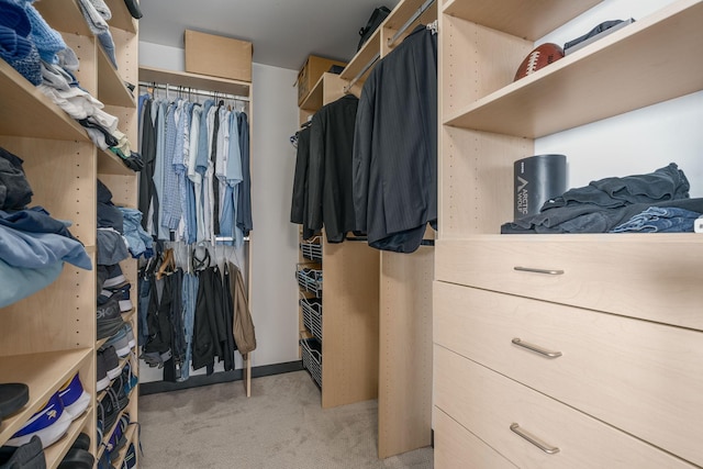 walk in closet with light colored carpet