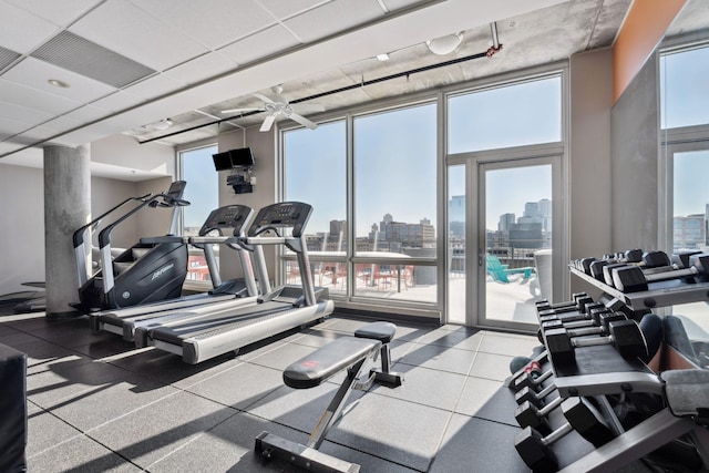 exercise room with expansive windows and a wealth of natural light