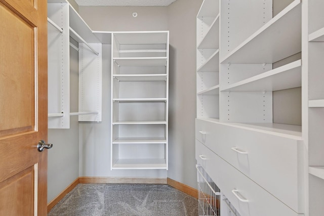 walk in closet with carpet