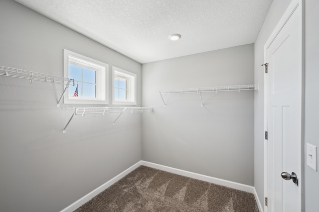 walk in closet with dark carpet