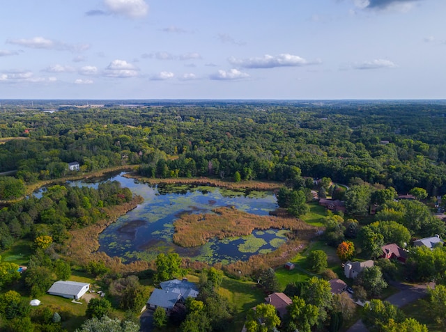 bird's eye view featuring a forest view and a water view