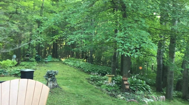 view of yard with a wooded view