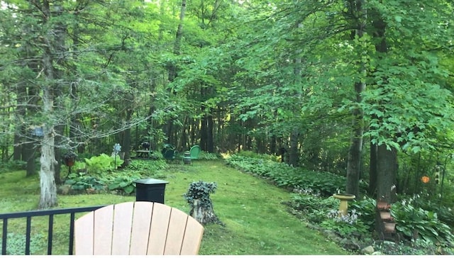 view of yard featuring a forest view